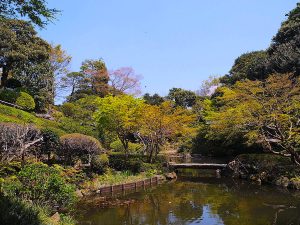 都会の真ん中にある、のどかなパワースポット「池田山公園」