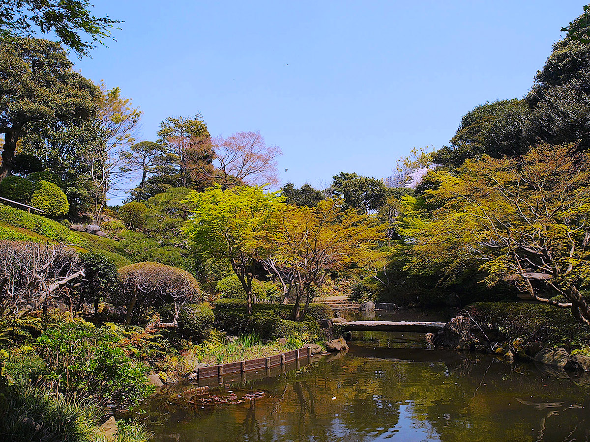 画像：池田山公園